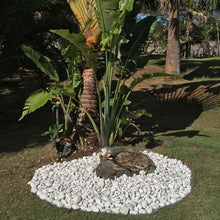 Load image into Gallery viewer, Margo Garden Products RFFERL1 Beach Pebble, Large, Caribbean White