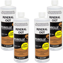 Load image into Gallery viewer, Robelle 2550 Mineral Out Stain Remover for Swimming Pools