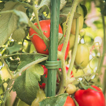 Load image into Gallery viewer, YARDGARD Gardener's Blue Ribbon 3-Pack Ultomato Tomato Plant Cage