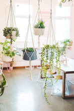 Load image into Gallery viewer, Flora Bunda Mid Century Artificial Plants 4.5&quot; Artificial Succulent Garden Macrame Hanging Ceramic Planter
