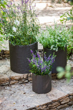 Load image into Gallery viewer, Keter Resin Wicker Cylinder Flower Pot Set of 3 Small, Medium, and Large Planters with Drainage Plugs for Outdoor or Indoor Plants