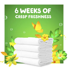 Load image into Gallery viewer, Gain Flings Liquid Laundry Detergent, Original Scent, 42 Count, HE Compatible