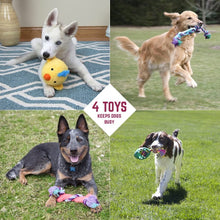 Load image into Gallery viewer, Play King Holiday Dog Squeaky Toy, Dog Toys, Play Toys