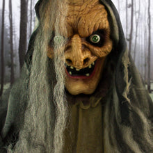 Load image into Gallery viewer, Haunted Hill Farm HHWITCH-13FLSA Life Size Animatronic Witch, Indoor/Outdoor Halloween Decoration, Multi