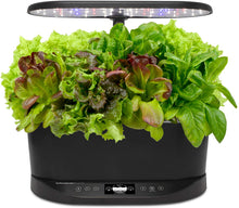 Load image into Gallery viewer, AeroGarden Bounty Basic Indoor Hydroponic Herb Garden,