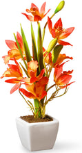 Load image into Gallery viewer, National Tree NF36-5240P-1 Potted 13" Yellow &amp; Orange Orchid Flowers