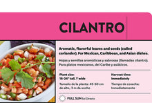 Load image into Gallery viewer, Bonnie Plants 5027 Cilantro Herb Plant