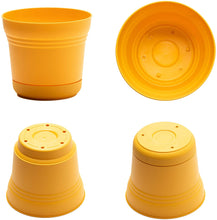 Load image into Gallery viewer, Bloem 010076 Saturn Planter with Saucer, 12&quot;, Chocolate (SP1245)