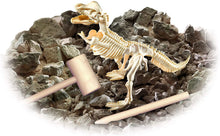 Load image into Gallery viewer, Smithsonian Diggin' Up Dinosaurs T-Rex Plastic Skeleton Set Educational,Fun,Science,Archeological Playset for Kids Age 8 up