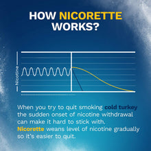 Load image into Gallery viewer, Nicorette 4mg Nicotine Gum to Quit Smoking, White ice Mint, 160 Count (Pack of 1)