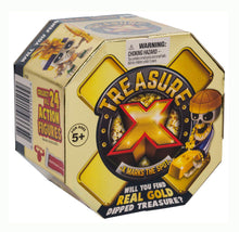 Load image into Gallery viewer, Treasure X