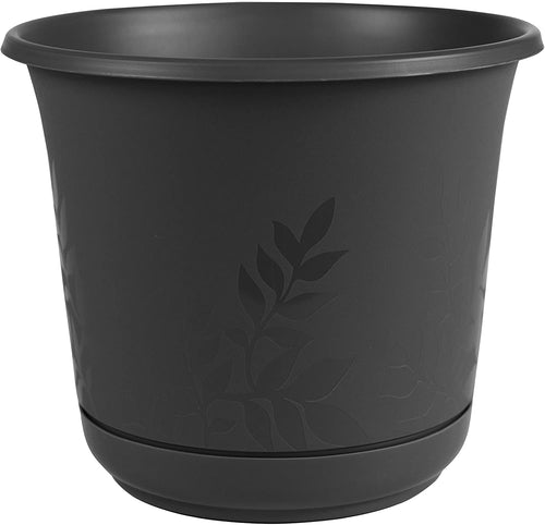 Bloem Freesia Planter w/Saucer, 6
