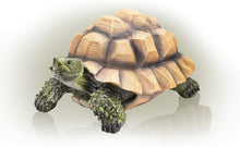 Load image into Gallery viewer, Alpine Turtle Statue, 9 Inch Tall