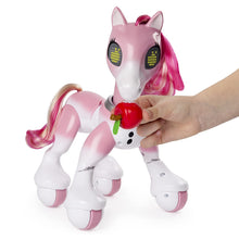 Load image into Gallery viewer, Zoomer - Show Pony Lights