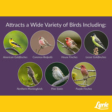 Load image into Gallery viewer, Lyric Finch Small Songbird