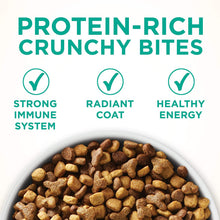 Load image into Gallery viewer, Purina ONE Sensitive Skin &amp; Stomach With Real Turkey, Natural Adult Dry Cat Food