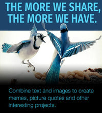 Load image into Gallery viewer, Corel Paintshop Pro 2019 Ultimate - Photo Editing and Graphic Design Suite for PC [Amazon Exclusive]