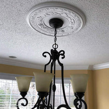 Load image into Gallery viewer, Ekena Millwork CMP10TR 10&quot;OD x 3 1/2&quot;ID x 1 8&quot;P Traditional Ceiling Medallion (Fits Canopies up to 3 1/2&quot;)