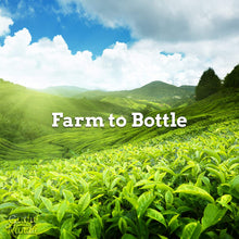 Load image into Gallery viewer, GuruNanda Essential Oil Single