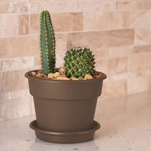 Load image into Gallery viewer, Bloem DC6-45 DCBT18-42, Living Green DCBT18-00 Dura Cotta Plant Window Box, 18-Inch, Black, 6&quot;, Chocolate