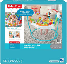 Load image into Gallery viewer, Fisher-Price Color Climbers Jumperoo