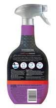 Load image into Gallery viewer, Stainmaster Carpet Care Stain Remover, 22 oz