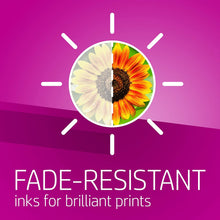 Load image into Gallery viewer, HP 564XL Black Ink Cartridge (CN684WN) for HP Deskjet 3520 3521 3522 3526 HP Officejet 4610 4620 4622 HP Photosmart: 5510 5512 5514 5515 5520 5525 6510 6512 6515 6520 6525 7510 7515 7520 7525 B8550 C6340 C6350 D7560 C510 B209 B210 C309 C310 C410 C510 (Pa