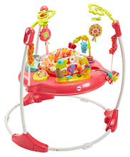 Load image into Gallery viewer, Fisher-Price Jumperoo