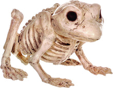 Load image into Gallery viewer, Crazy Bonez Skeleton Frog