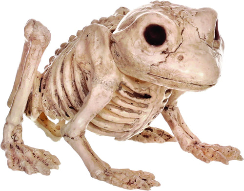 Crazy Bonez Skeleton Frog