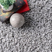 Load image into Gallery viewer, nuLOOM Cozy Soft &amp; Fluffy Solid Shag Area Rug, 4' x 6', Silver