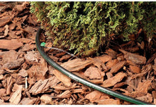 Load image into Gallery viewer, Rain Bird T63-500S Drip Irrigation 1/2" (.630" OD) Blank Distribution Tubing, 500' Roll, Black