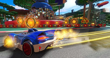 Load image into Gallery viewer, Team Sonic Racing