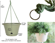 Load image into Gallery viewer, Bloem Lucca Self Watering Hanging Basket Planter