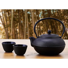 Load image into Gallery viewer, Old Dutch Cast Iron Saga Teapot, 52-Ounce, Black