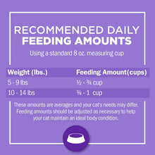 Load image into Gallery viewer, Purina Cat Chow Gentle Sensitive Stomach Adult Dry Cat Food