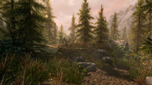 Load image into Gallery viewer, The Elder Scrolls V: Skyrim