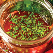 Load image into Gallery viewer, BLACK+DECKER HC306 1-1/2-Cup One-Touch Electric Chopper, White