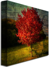 Load image into Gallery viewer, Trademark Fine Art Autumn Red by Philippe Sainte-Laudy Canvas Wall Art
