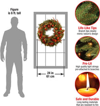 Load image into Gallery viewer, National Tree 24 Inch Decorative Collection Christmas Red Mixed