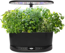 Load image into Gallery viewer, AeroGarden Bounty Basic Indoor Hydroponic Herb Garden,