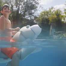 Load image into Gallery viewer, Big Joe, 2020SEA, Seal Pool Petz Pool Float, Blue/Light Blue