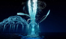 Load image into Gallery viewer, ABZÛ0