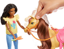 Load image into Gallery viewer, Mattel Barbie Playset with Barbie and Chelsea Dolls, 2 Horses and 15+ Accessories