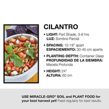 Load image into Gallery viewer, Bonnie Plants 5027 Cilantro Herb Plant