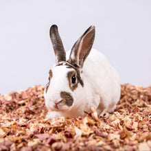 Load image into Gallery viewer, PETSPICK Red Cedar Pet Bedding for Dogs and Horses