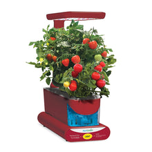 Load image into Gallery viewer, AeroGarden Sprout LED with Gourmet Herb Seed Pod Kit, Red