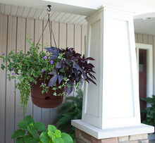 Load image into Gallery viewer, Bloem Lucca Self Watering Hanging Basket Planter