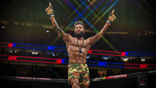 Load image into Gallery viewer, UFC 4 Parent
