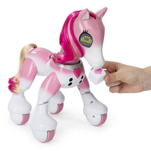 Load image into Gallery viewer, Zoomer - Show Pony Lights